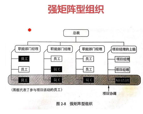 信息系統(tǒng)項(xiàng)目管理基礎(chǔ) 生物質(zhì)能資源數(shù)據(jù)庫(kù)信息系統(tǒng)